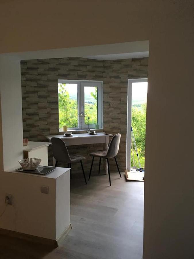 Casa Anca Hotel Cojocna Eksteriør billede